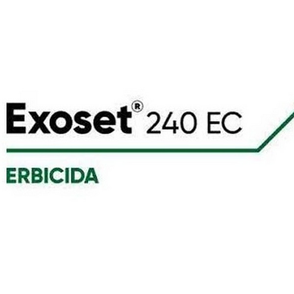 EXPRESS 50 SX x 100 gr.