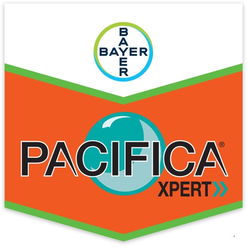 PACIFICA XPERT x 500 gr.