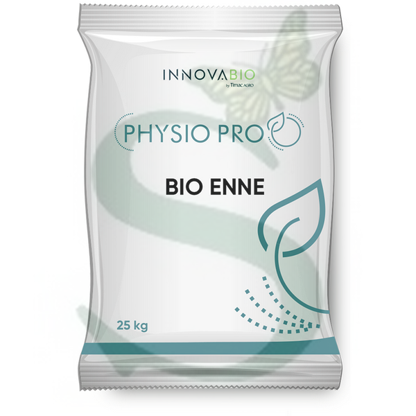 BIO ENNE -BIO- 12 x 25 Kg.