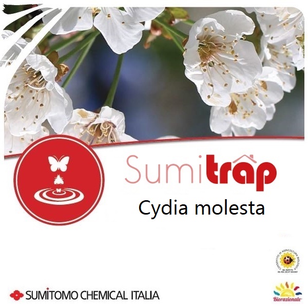 SUMSUTCYDMO - SUMITRAP CYDIA MOLESTA x 3 pz.