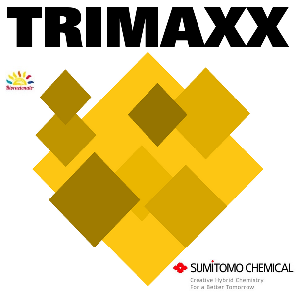 TRIMAXX x 1 lt.