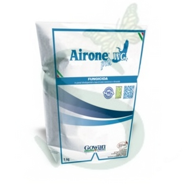 GOWAI80010 - AIRONE PIU' x 1 kg.