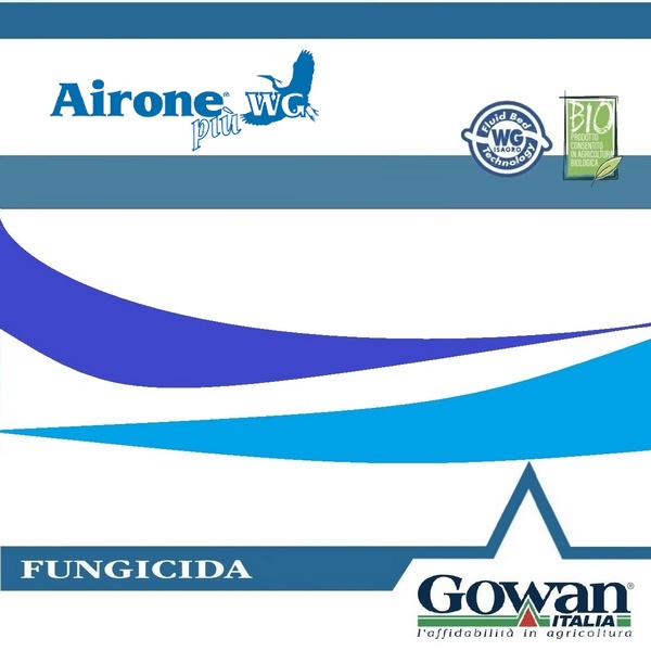 GOWAI80100 - AIRONE PIU' x 10 kg.