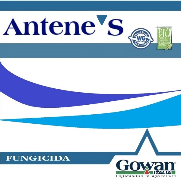 GOWAN20100 - ANTENE S x 10 lt.