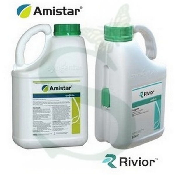 SYNAM700900 - AMISTAR+RIVIOR x 9 lt. (4 lt +5 lt)