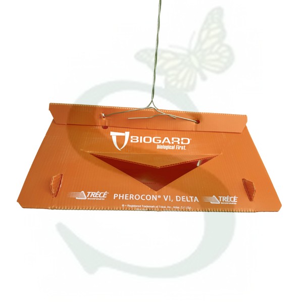 BIOBD700012 - KIT BDT ORANGE x 1 pz.