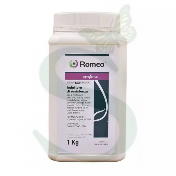 SYNRO500100 - ROMEO x 1 kg. -BIO-