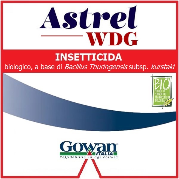 GOWAS80010 - ASTREL WDG x 1 kg.