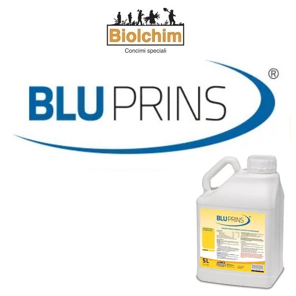 BIHBL7000050 - BLUPRINS x 5 Lt.