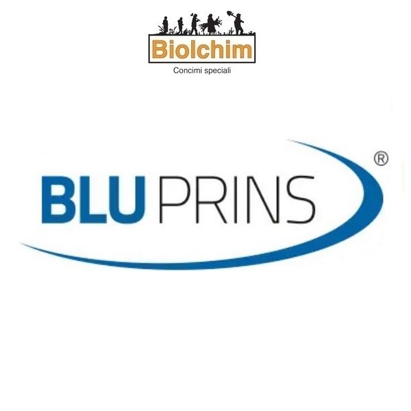 BIHBL7000200 - BLUPRINS x 20 Lt.