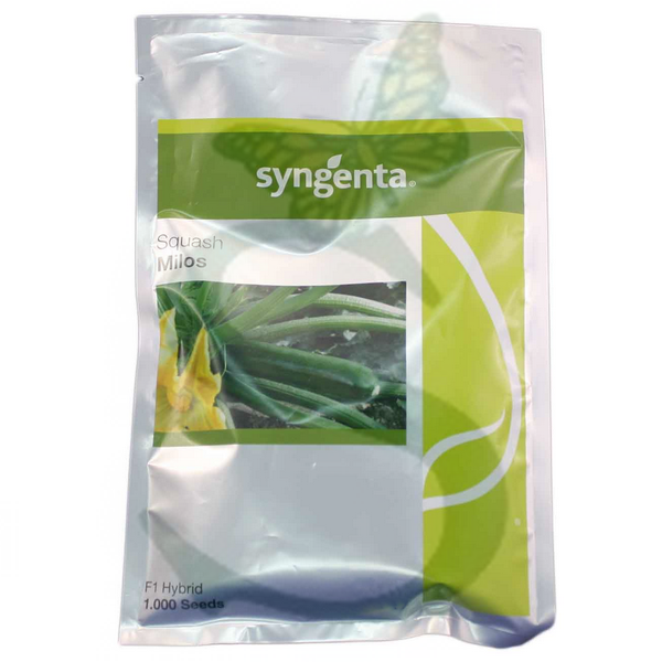 SYN2ZUC270 - ZUCCHINO MILOS -1000 semi-