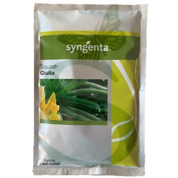 SYN2ZUC155 - ZUCCHINO GIULIA -1000 semi-