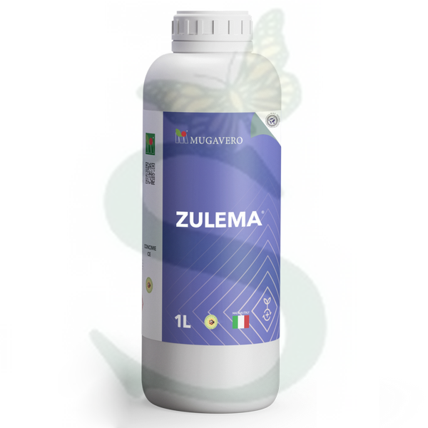 MUGZU40001 - ZULEMA x 1 lt.