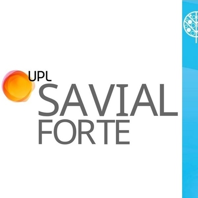 UPLSA801000 - SAVIAL FORTE x 10 lt.