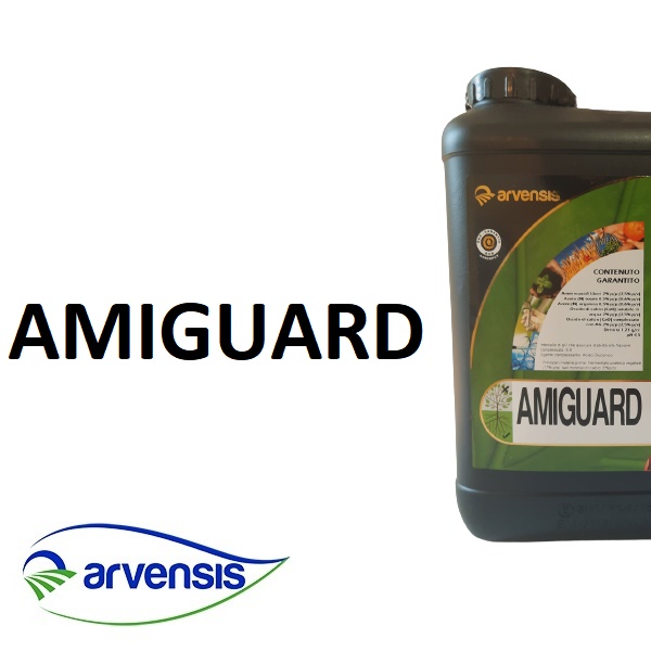 ARVAM502000 - AMIGUARD x 20 lt.