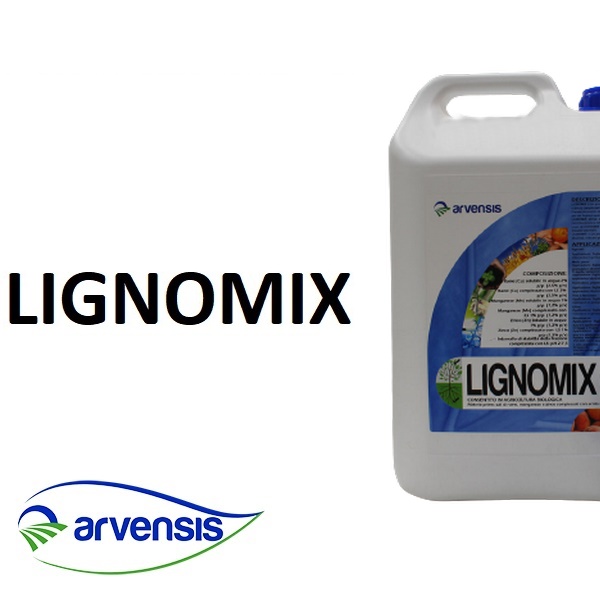 ARVLI302000 - LIGNOMIX -BIO- x 20 lt.