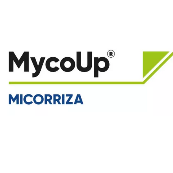 CORMY100300 - MYCOUP x 3 kg.