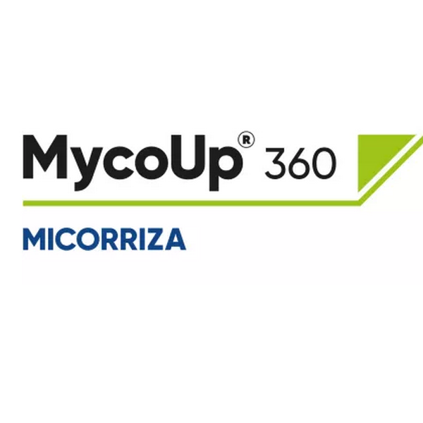 CORMY200100 - MYCOUP 360 x 1 kg.